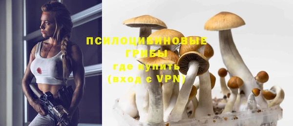 мет Рославль
