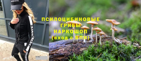 мет Рославль